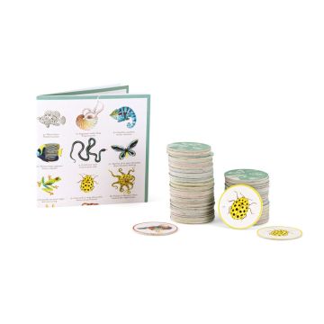 Memory, Tout autour du monde, Moulin Roty