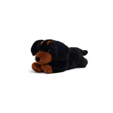 Dachshund Pumpkin Kuschelfreund Snuggle Friend, One Love