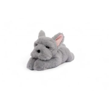Hund French Bulldog Kuschelfreund Snuggle Friend, One Love