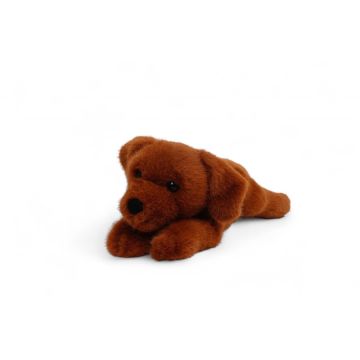 Hund Labrador Retriever Kuschelfreund Snuggle Friend, One Love