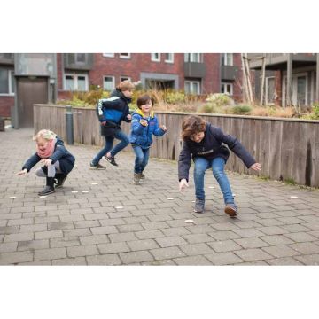 Insekten - aktives Suchspiel, BS Toys