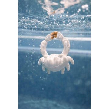 SHARON The Crab - O&C x BigStuffed, Oli and Carol