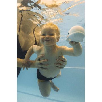 WALTER The Whale - O&C x BigStuffed, Oli and Carol