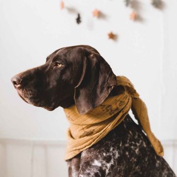 Swaddle M Bianca, Pusteblume Mustard, Rose in April