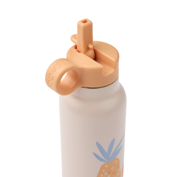 Falk Water Bottle 350 ml,Pineapple / Sandy,LIEWOOD