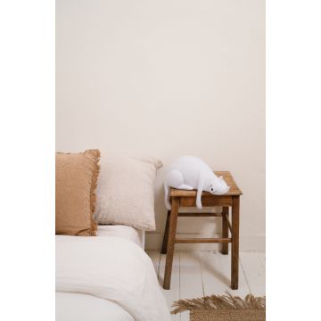 Georges the Cat, Nachtlicht, Rose in April