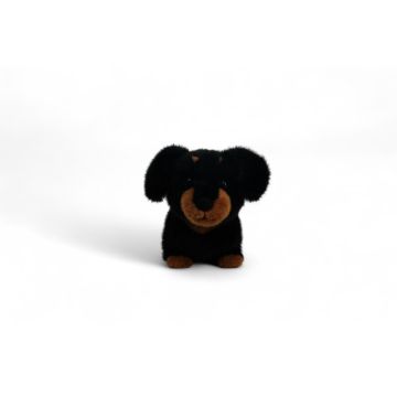Dachshund Pumpkin Kuschelfreund Snuggle Friend, One Love