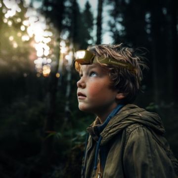 Bug Box, Meine kleinen Sammelschätze, Huckleberry