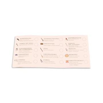 Werkzeugführerschein, Die Werkkiste