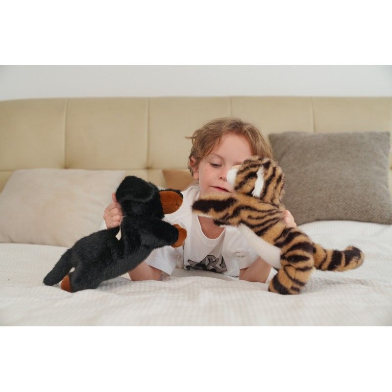 Dachshund Pumpkin Kuschelfreund Snuggle Friend, One Love