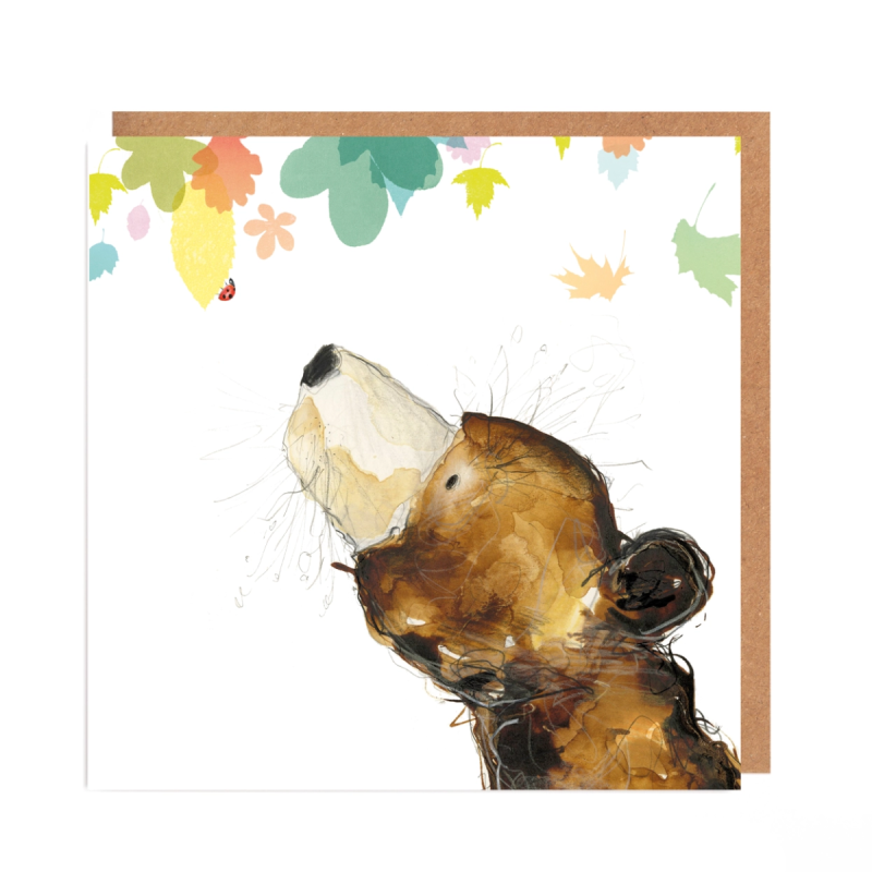Braunbär-Karte, Catherine Rayner