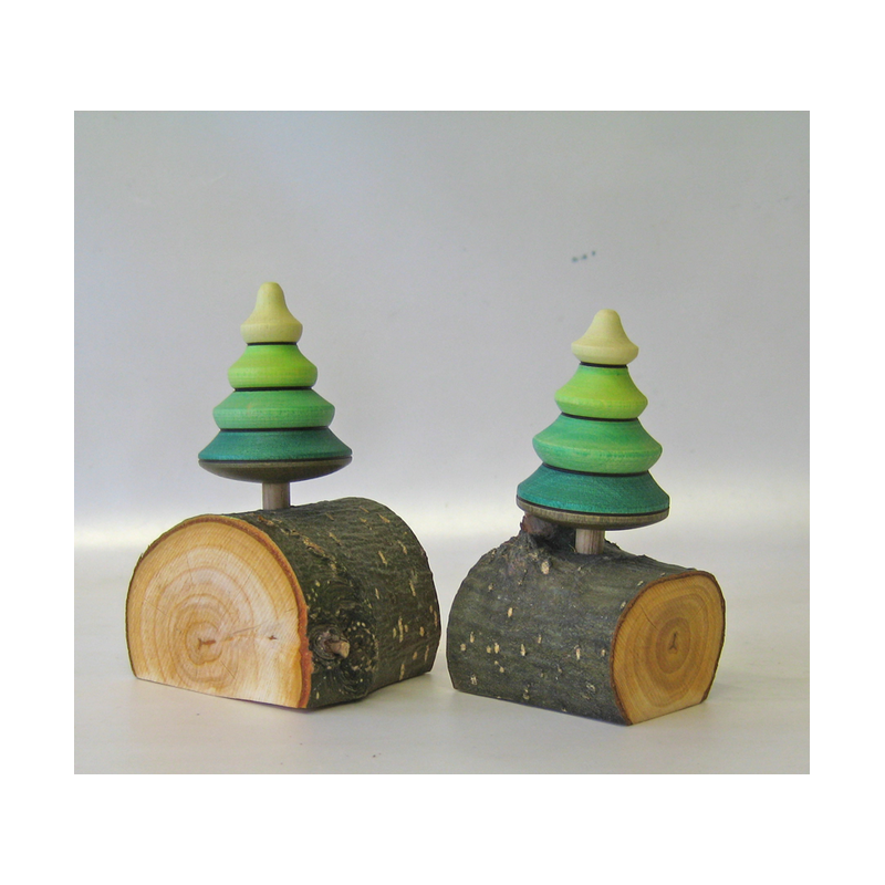 Baumkreisel auf dem Star, Mader