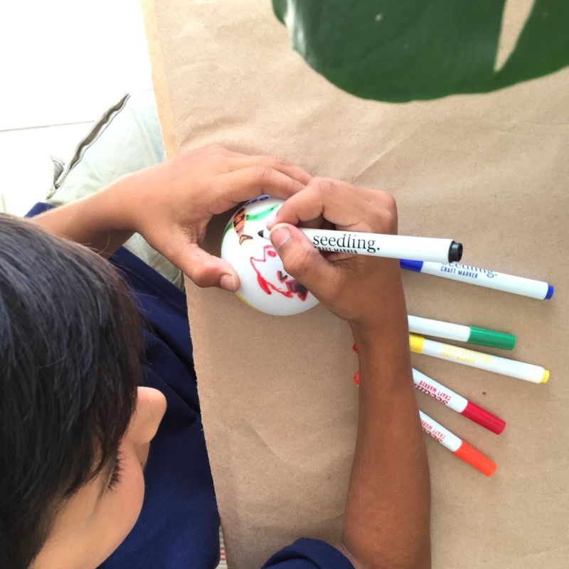 Illuminate the Night, ,SEEDLING