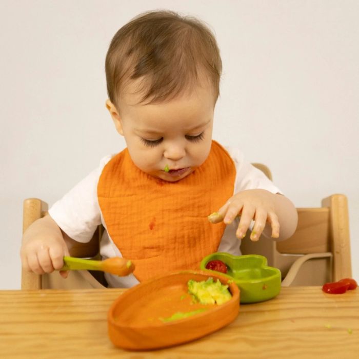 95.W-PL-CARROT_1.jpg 95.W-PL-CARROT_1.jpg