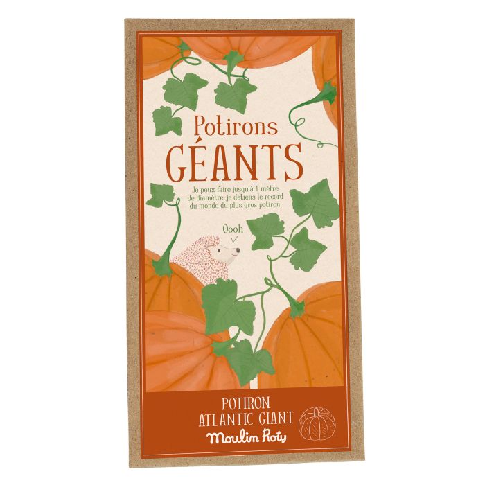 Graines de potiron, Le Jardinier, Le Jardin du Moulin, Moulin Roty