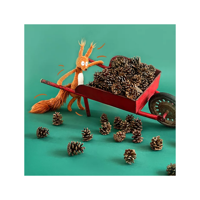 Eichhörnchen, Ecole des loisirs, Moulin Roty 