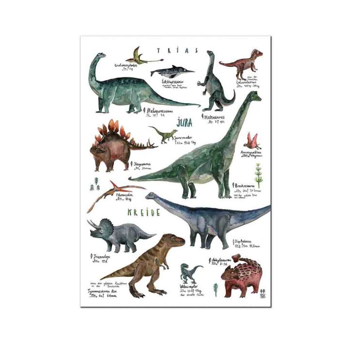 Dinoarten Poster, deutsch, DIN A3, Halfbird