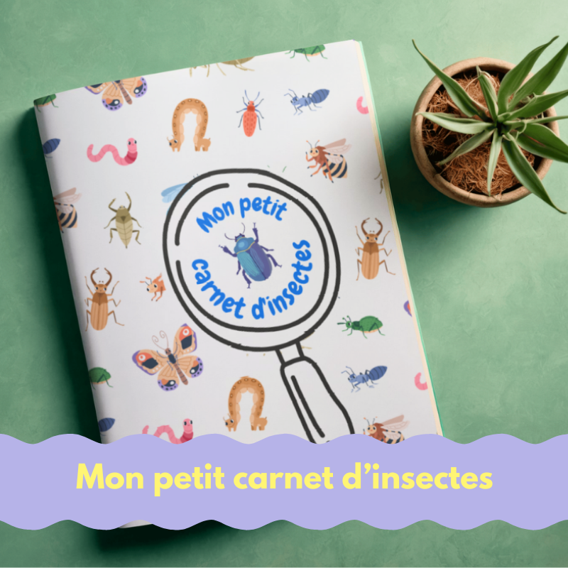 Mein Kleines Insekten Buch f&uuml;r Kinder Gratis Download