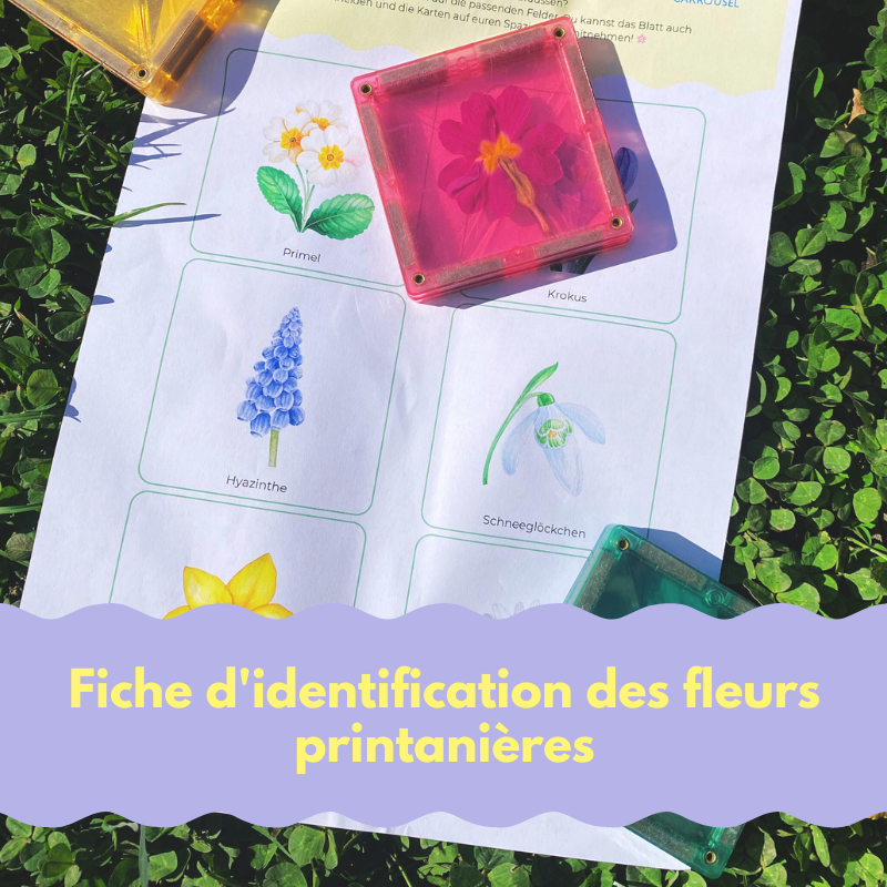 Fr&uuml;hlingsblumen Finder f&uuml;r Kinder Gratis Download